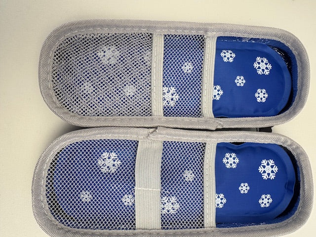 Premium Reusable Peptide Pen Kit with 3ml Cartridge - Complete Travel Set with Cooling Case & Needles